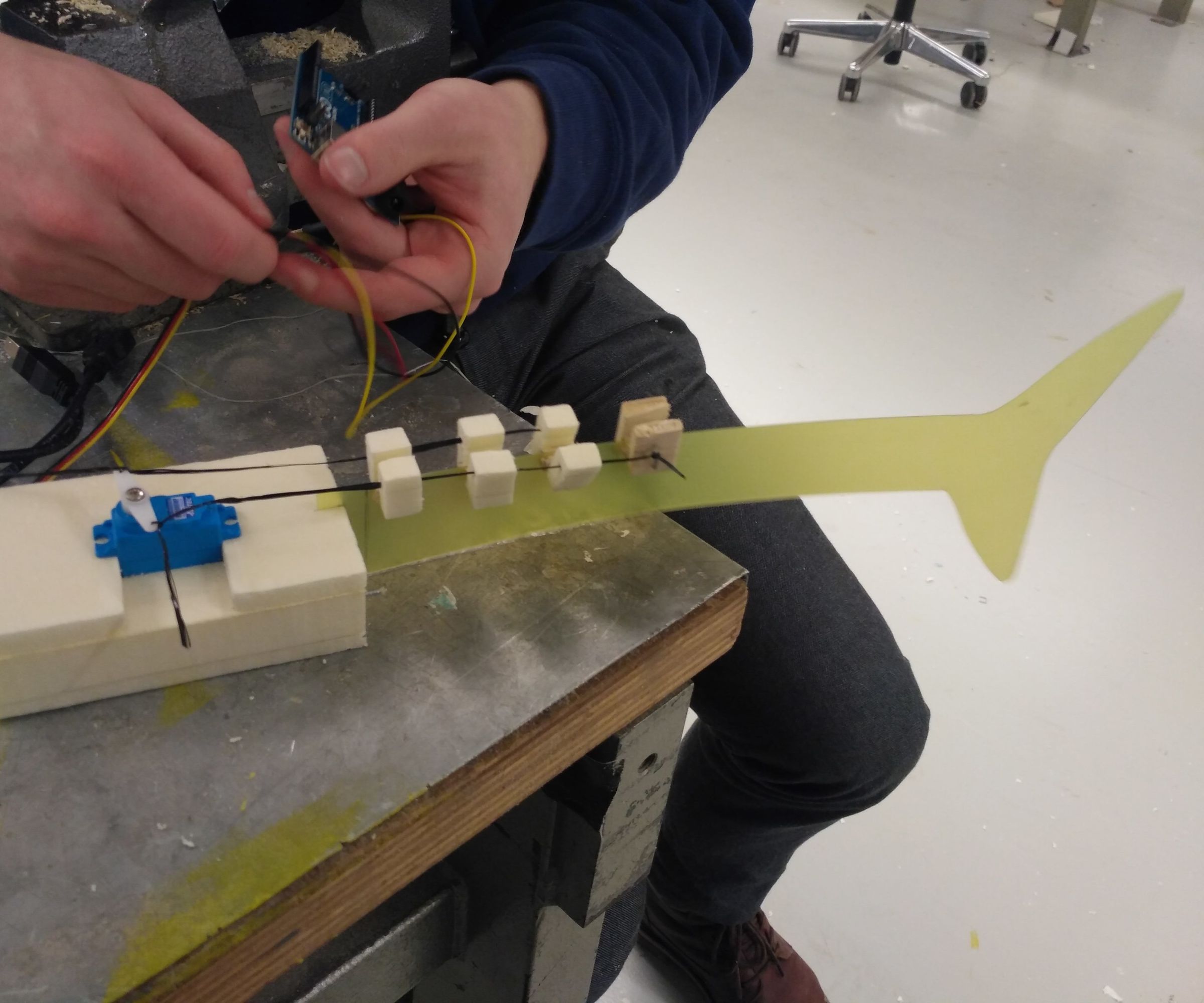 Soft Wire-driven Oscillating Tail (TfCD Course, TU Delft)