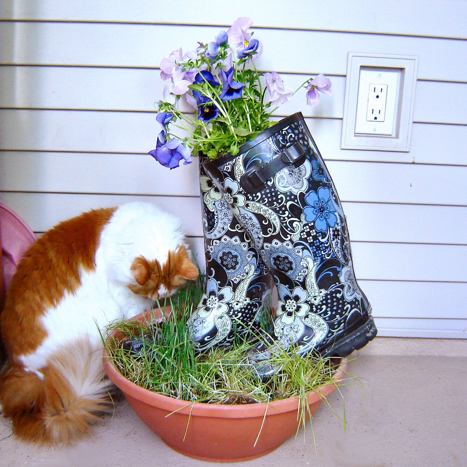 Whimsical Boot Planter
