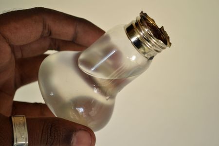 Planting a Water Plant Into the Bulb