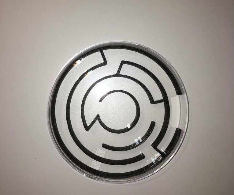 3D-printed Circular Mazes for Petri Dishes - Online Images