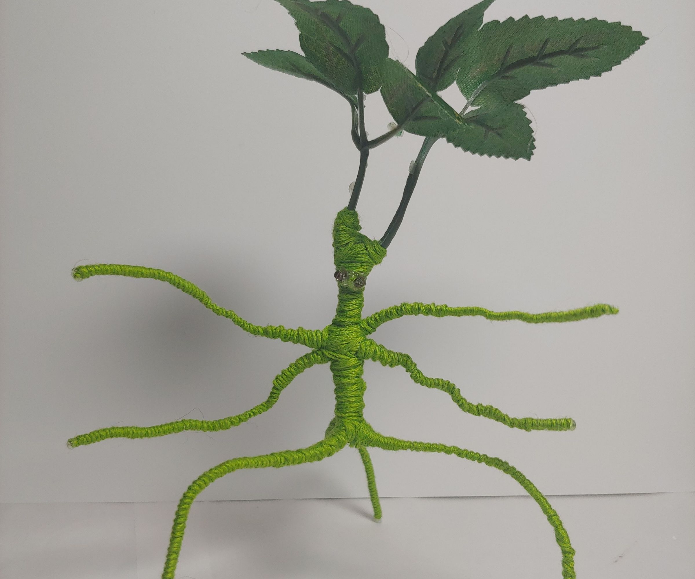 Make Your Own Fantastic Beast: Bowtruckle Edition