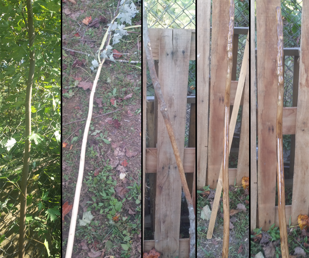 Canes and Staves