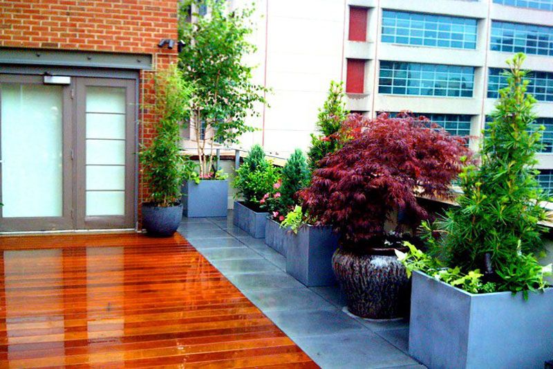 NYC Landscape Design - Rooftop Garden How-to
