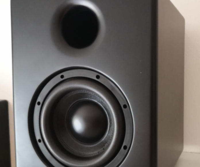 Little Beast - Subwoofer 8", 150W