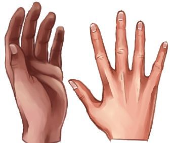 Drawing and Coloring Hands