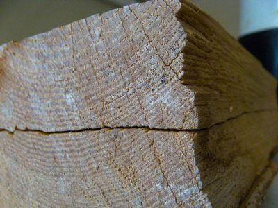Making the Lumberflask