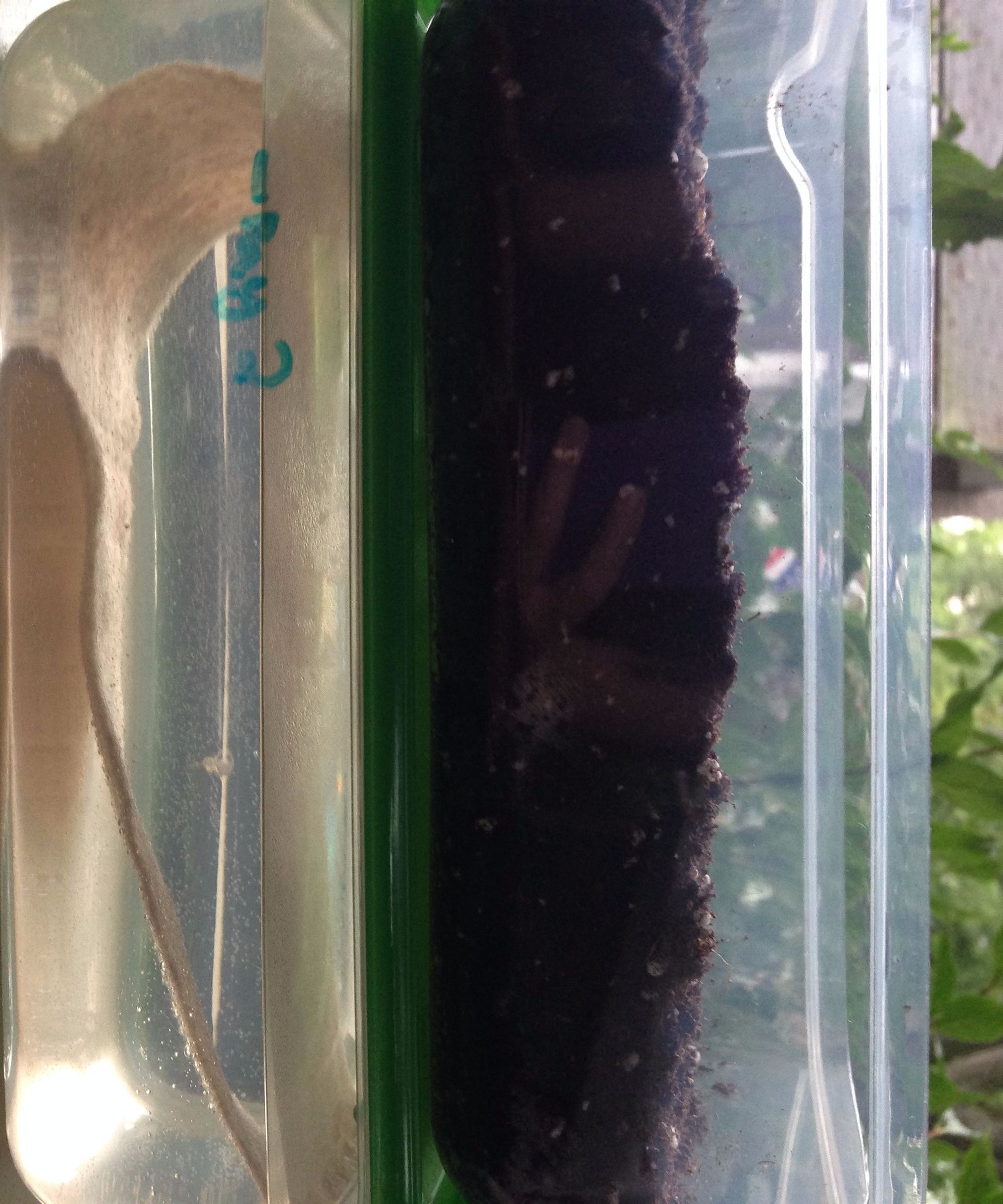 Water Reservoir System 