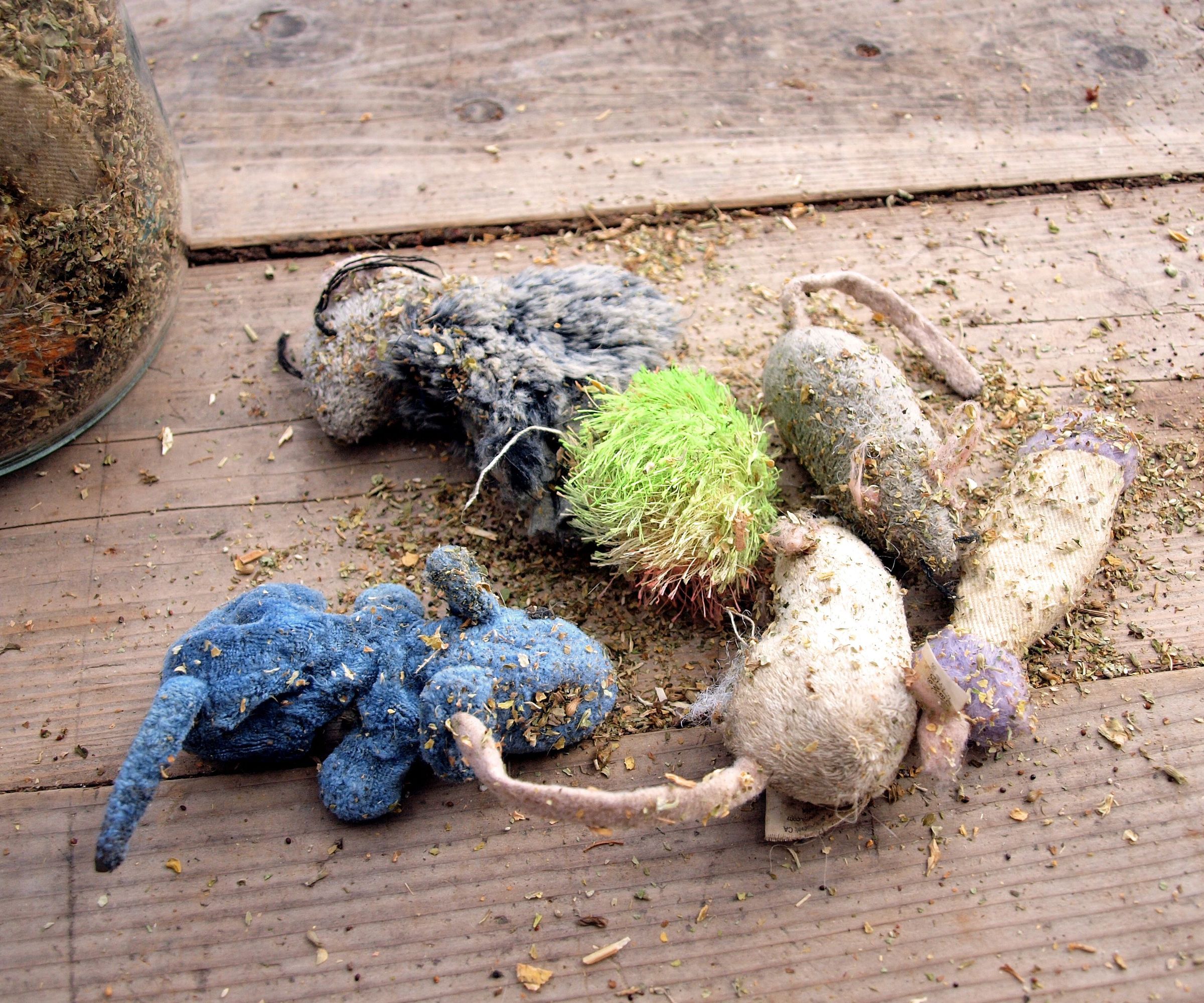 How to Renew Catnip Toys