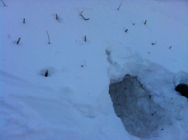 Snow Survival Shelter [must Have Deep Snow]