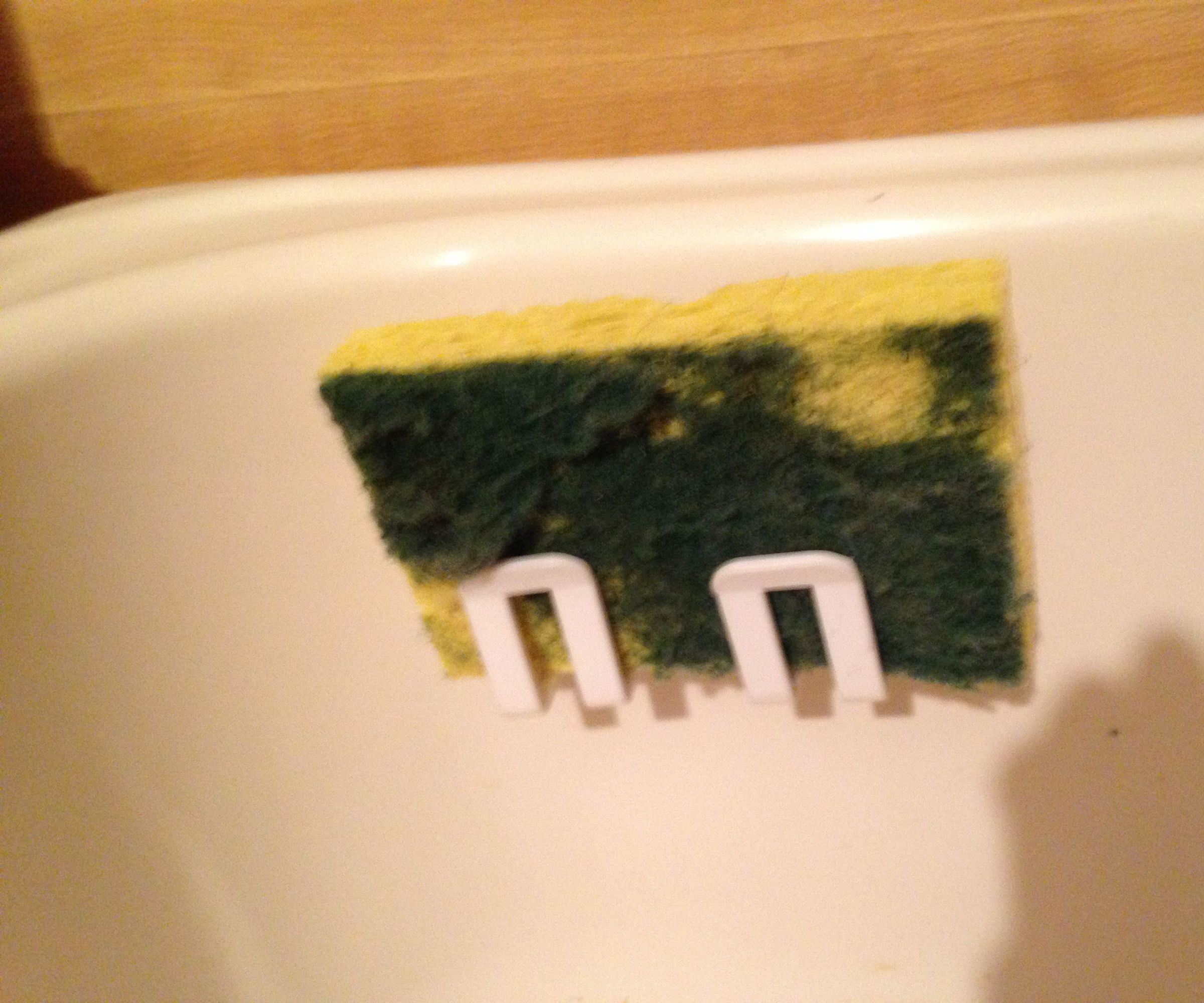 Keep kitchen sponges free of bacteria