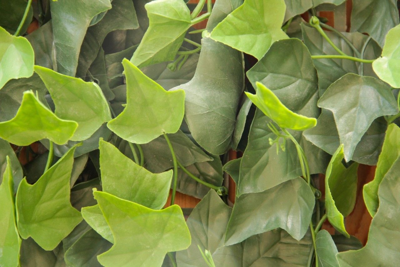 Applying an UV Rated Artificial Ivy Roll to a Chain Link Fence