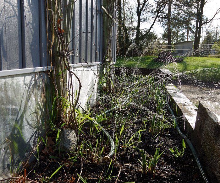 DIY Irrigation for My Gardens – Leaky Hose Upcycling!