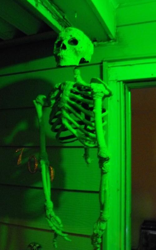 DIY Skeleton Made From Sticks, String, Foam and Mache'