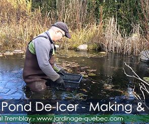 Pond Heater & De-Icer - Overwintering Fish Pond