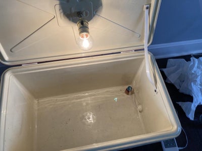 Prepare the Cooler