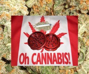 How to Roll a Joint ! (if You Dont Like It Don't Read It !!)