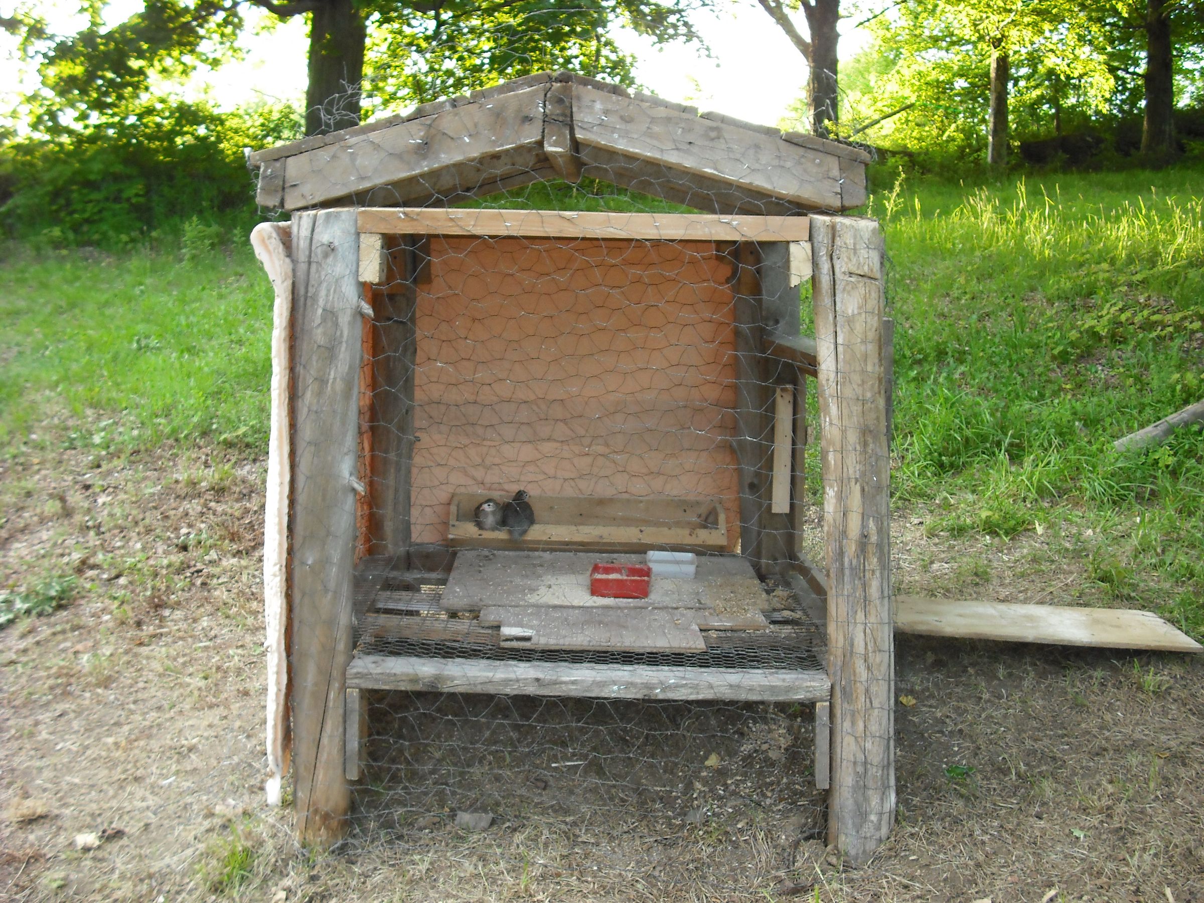 Building an Outdoor Chicken Coop