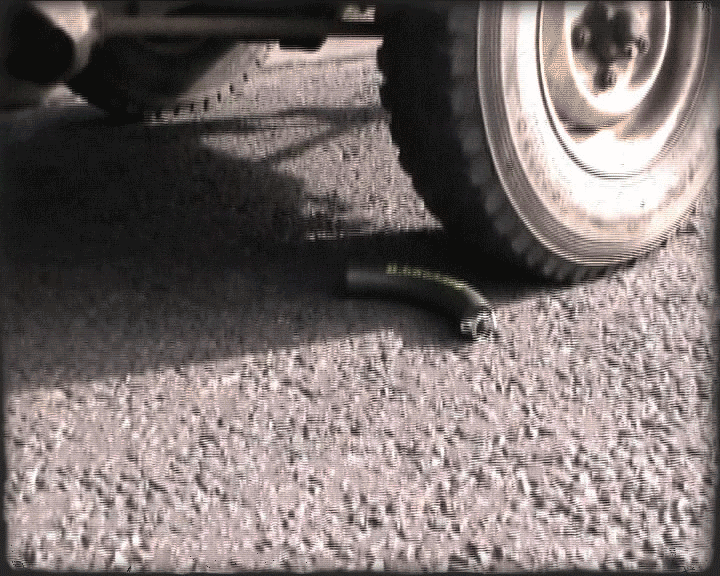 The Ultimate Banana Guard