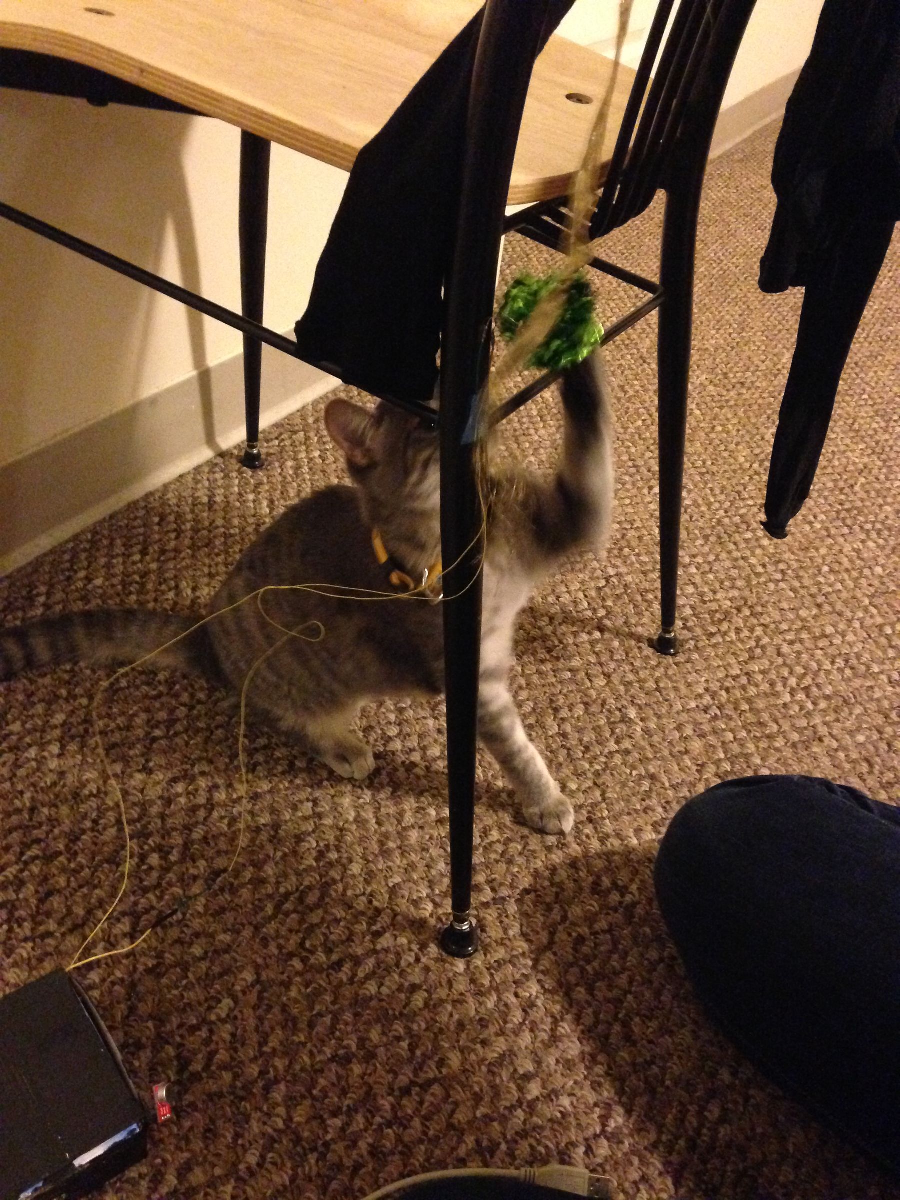 Cat & Mouse Play Toy