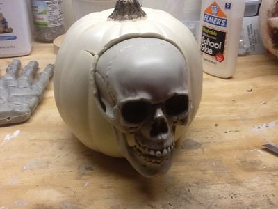The Skull and Body