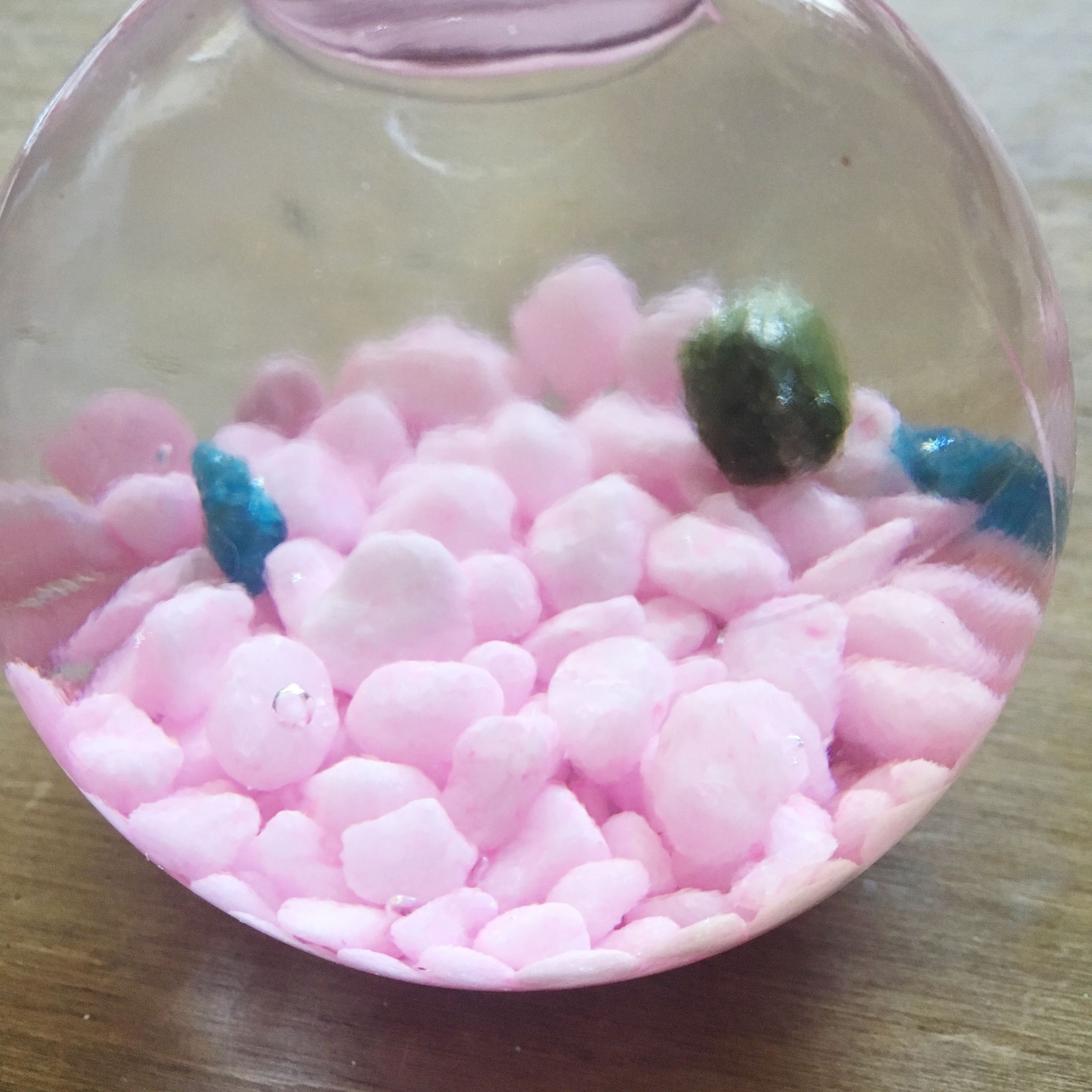 Marimo Moss Ball 6 Steps (with Pictures) Instructables