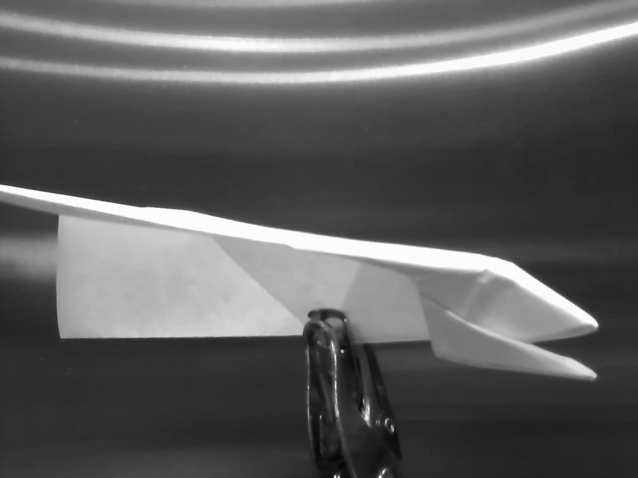 World's Best Paper Airplane (The Eagle Eye)