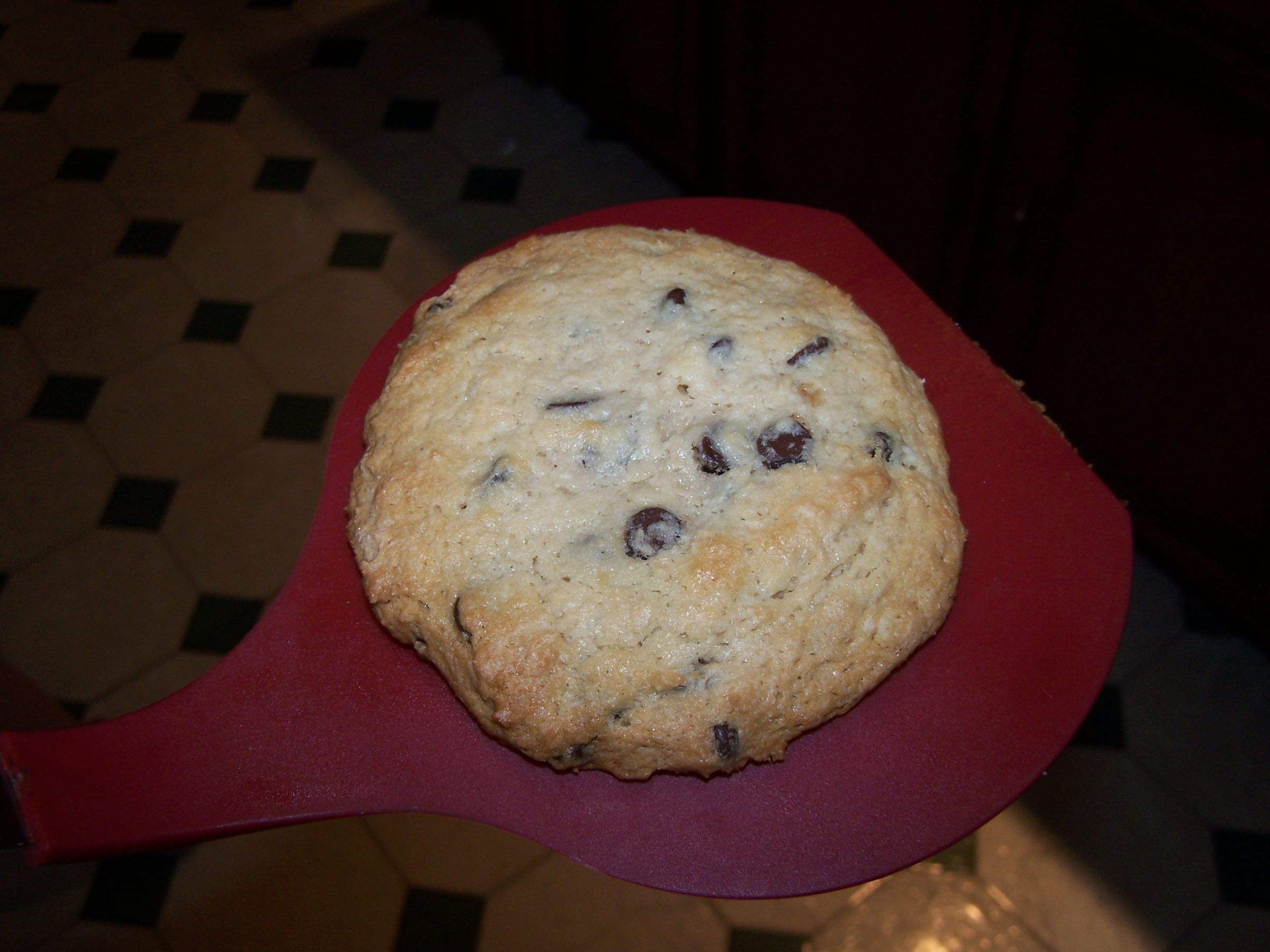 Chocolate Chip Cookie (The Single Cookie)