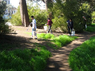 CLEAN UP THE PARK