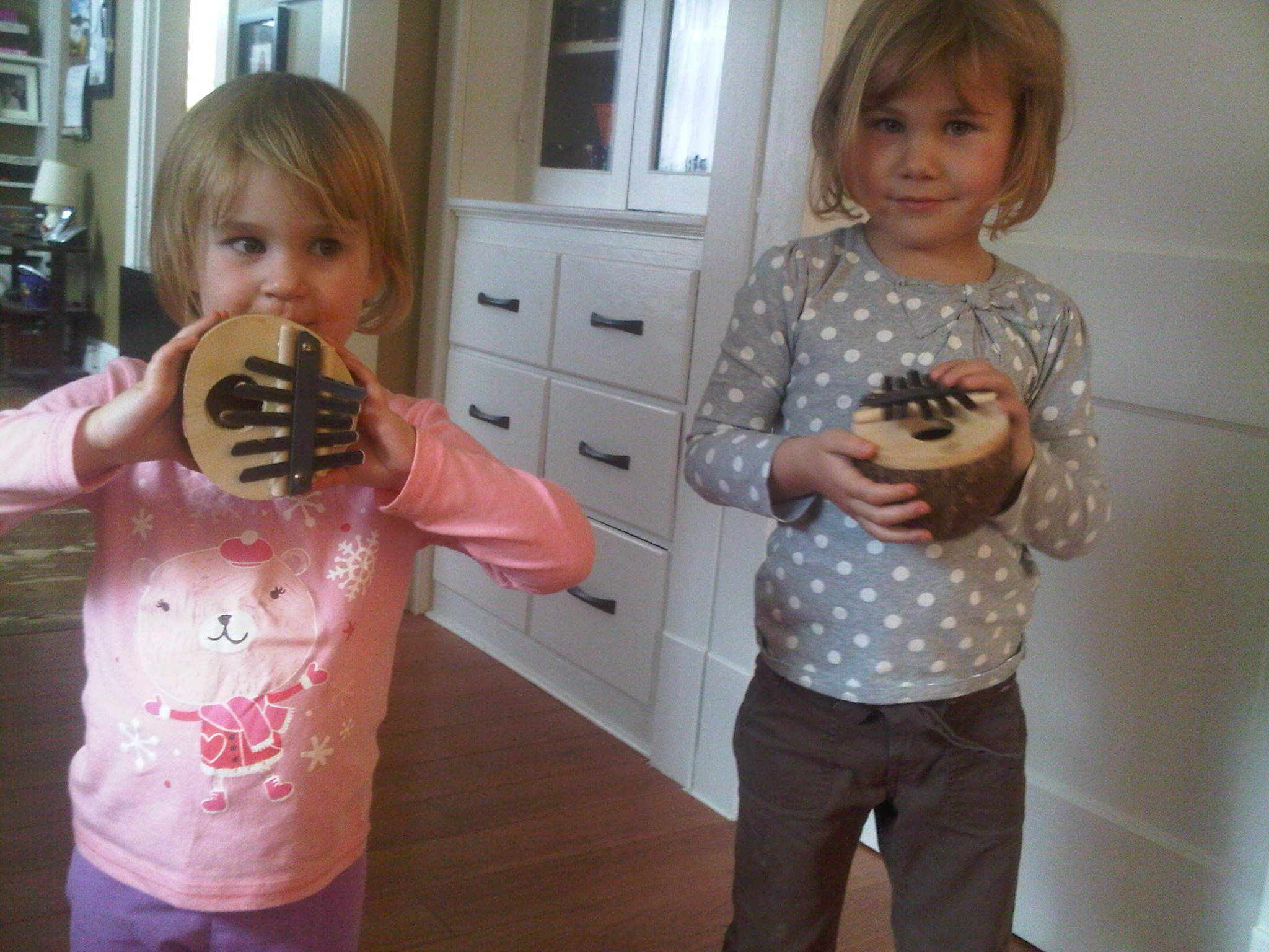 Electric Coconut Thumb Piano 5 Steps (with Pictures) Instructables