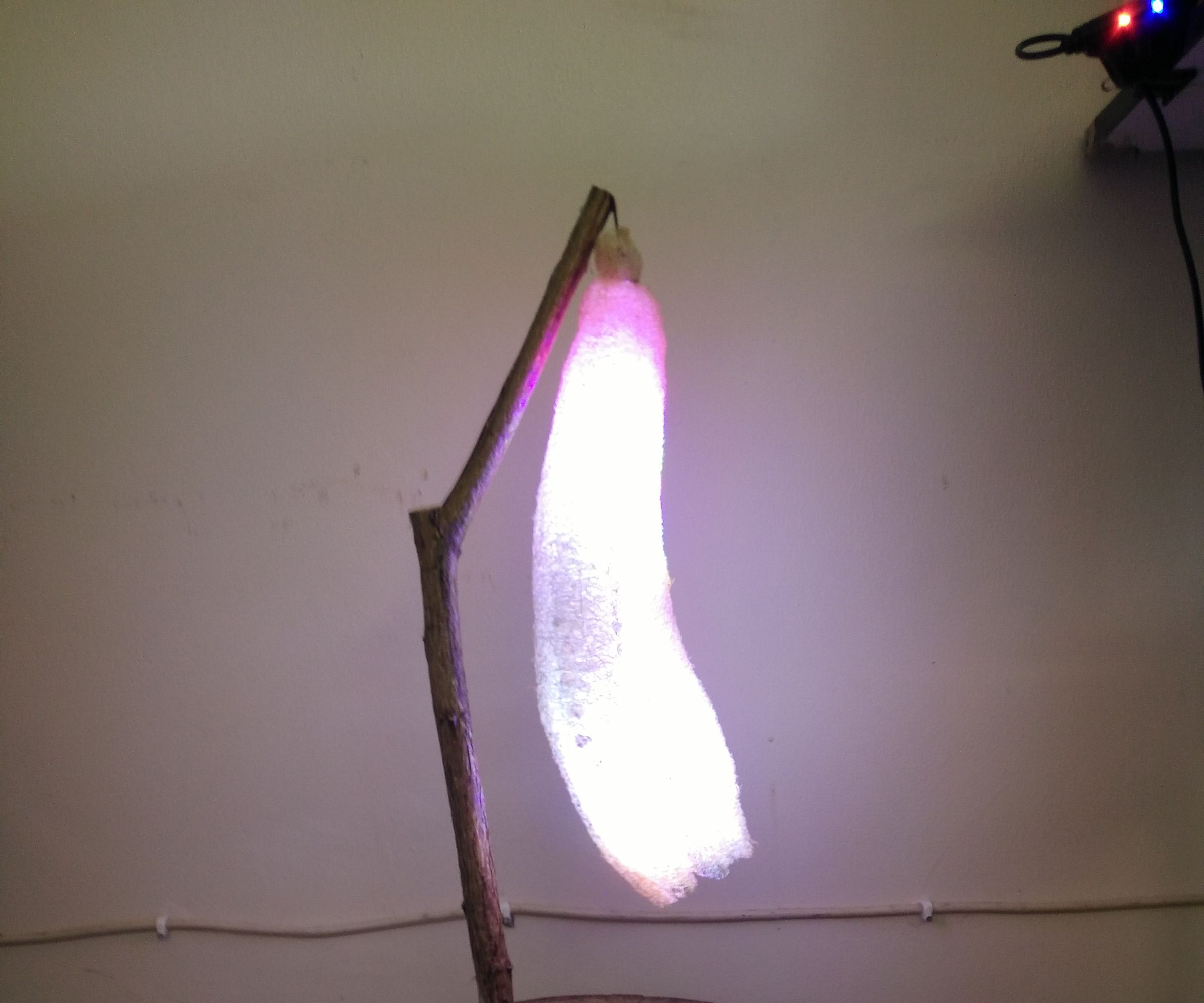 A Table Lamp Made From Gourd