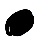 download {{ file.name }}