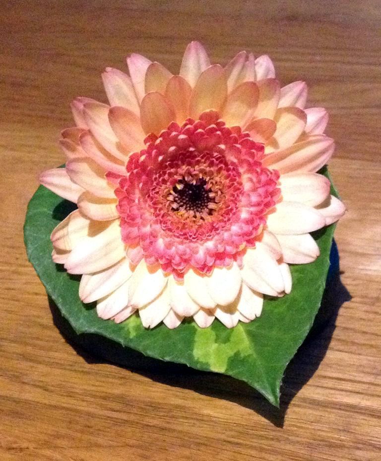 Easy Flower Corsages (Using Magnets)