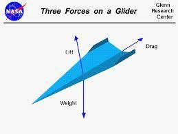 Step 3: What Forces Act on the Snitch?