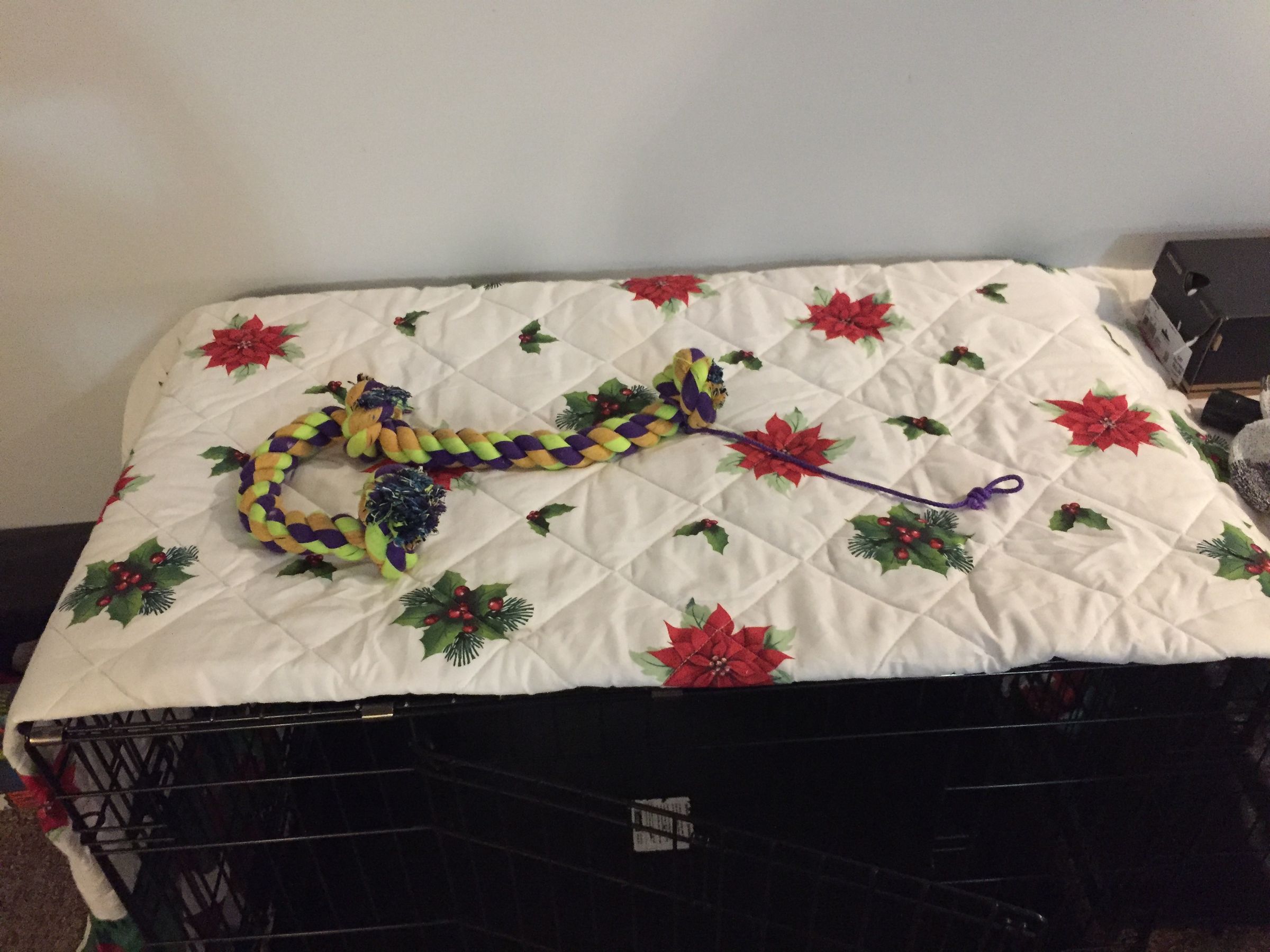 Indoor Dog Jungle Gym : 18 Steps (with Pictures) - Instructables
