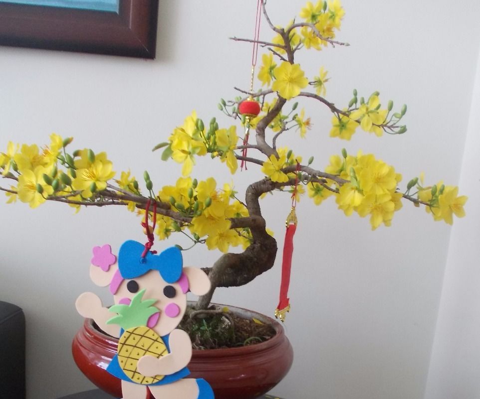 Miss La Sen Holding the Pineapple on Lunar New Year