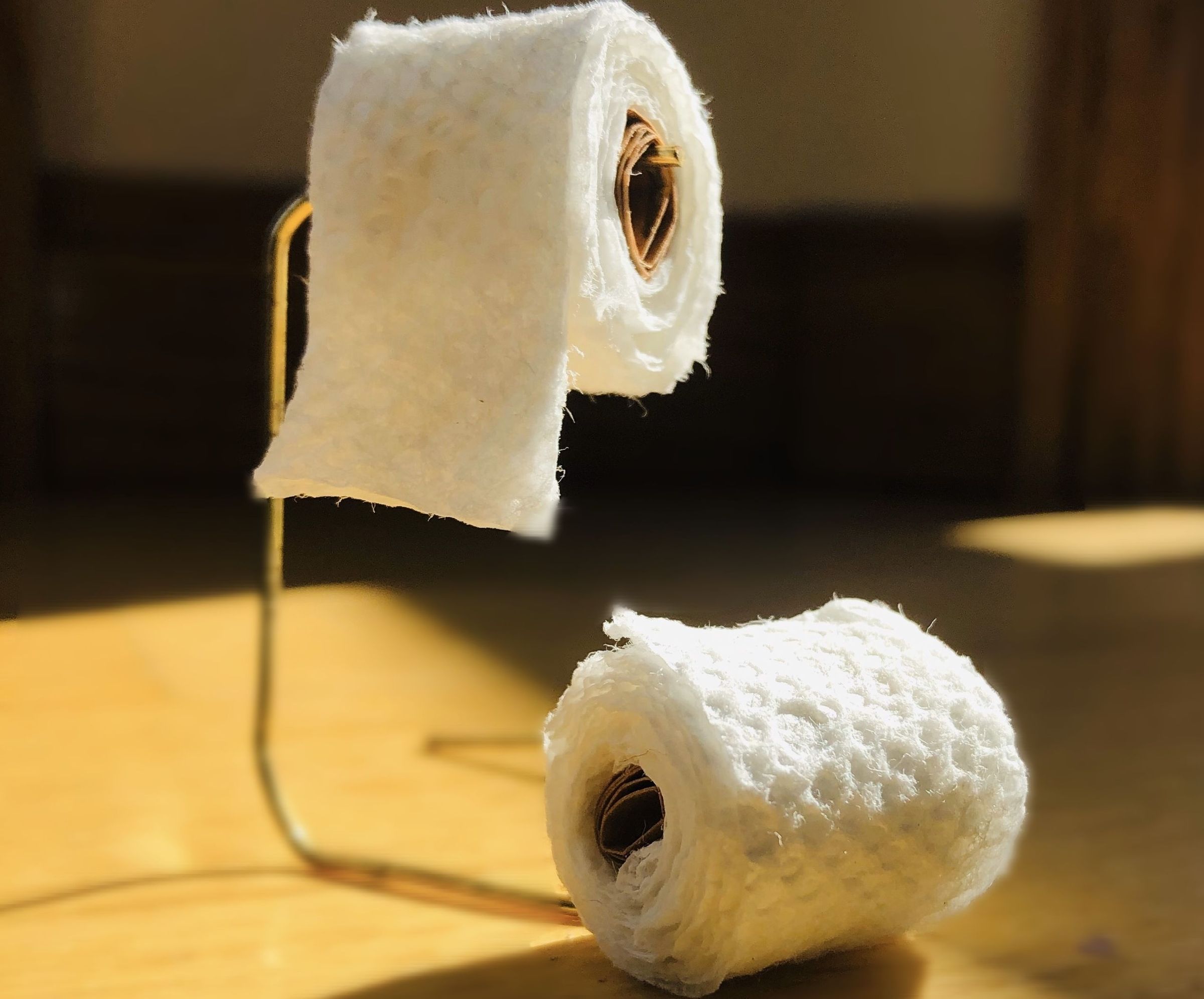 Mini Toilet Paper Rolls and Stand
