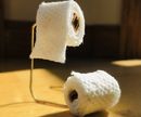 Mini Toilet Paper Rolls and Stand