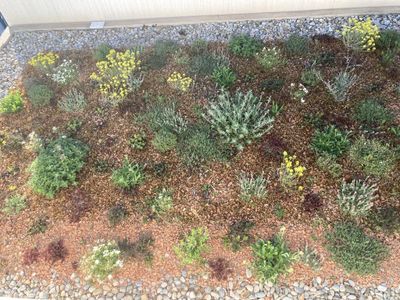Let Nature Do the Rest - Final Thoughts