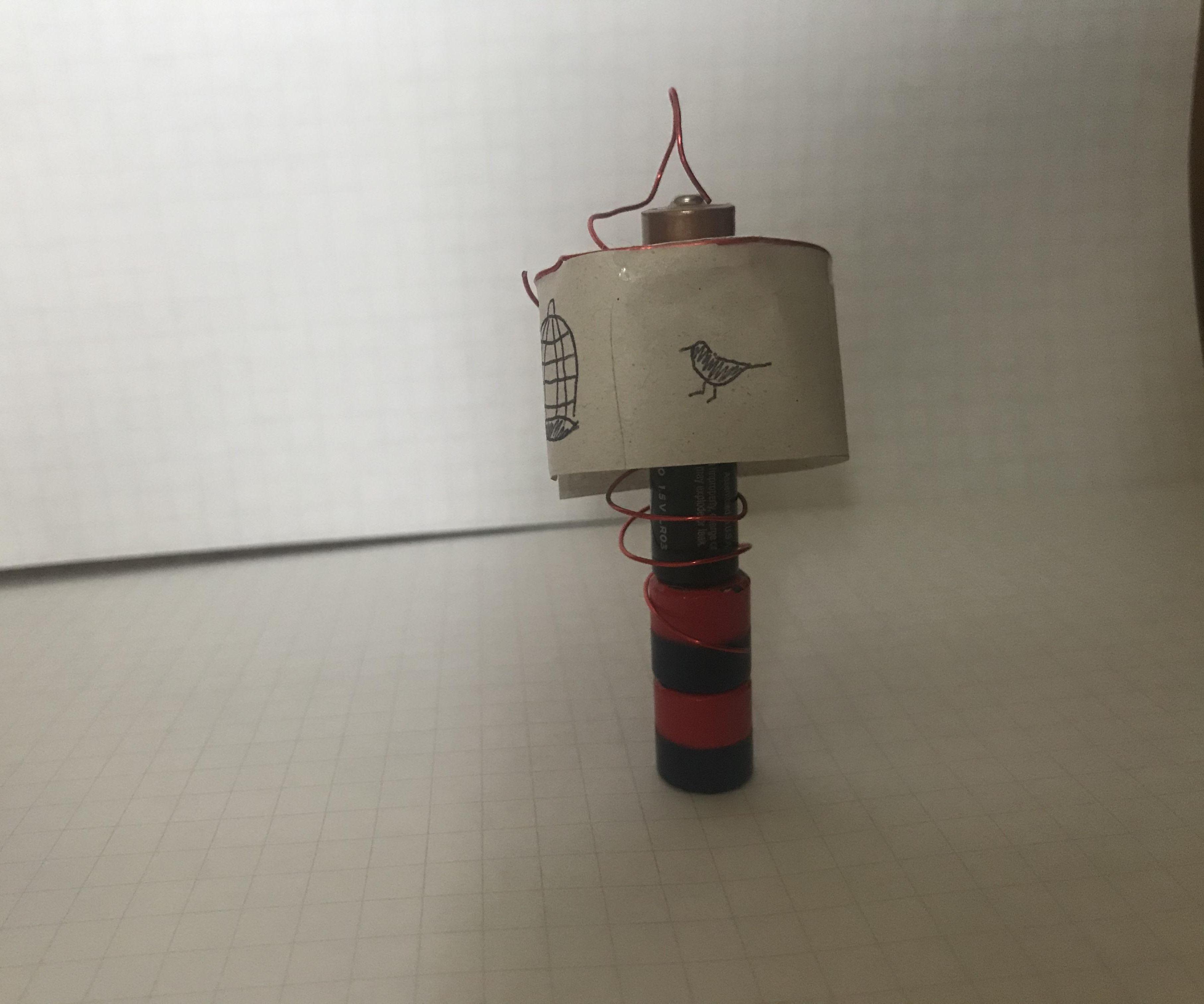 Homopolar Motor Zoetropes