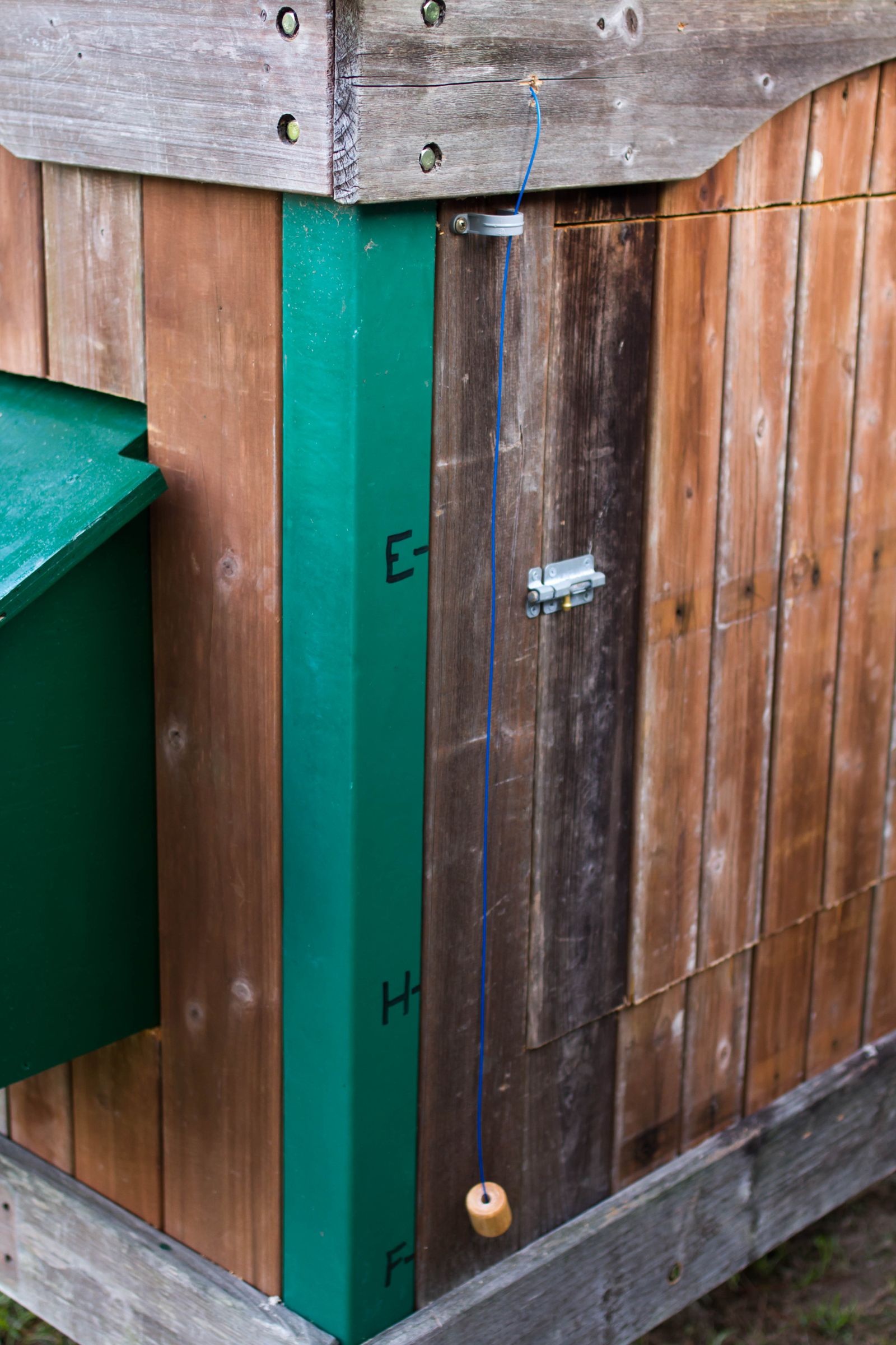 PVC Chicken Feeder With Meter