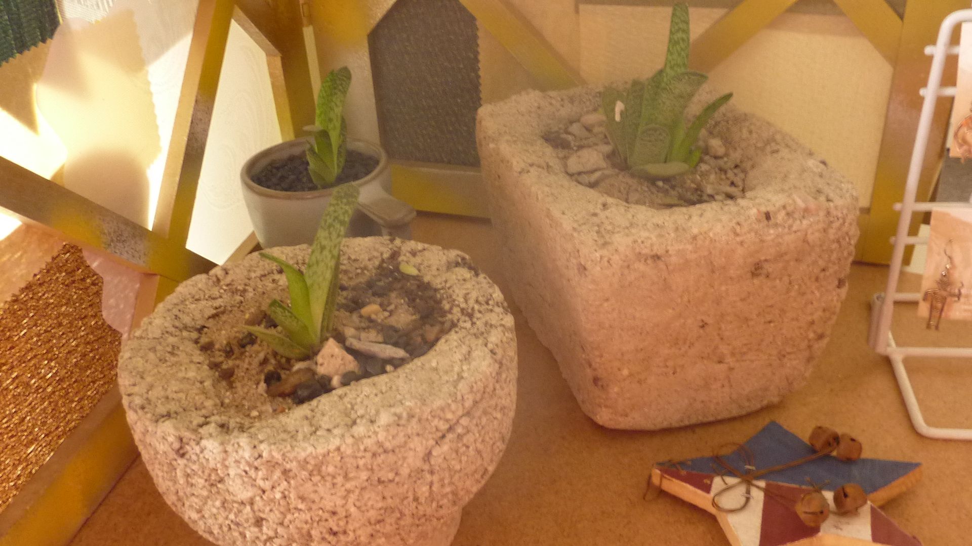 Hypertufa Mini Pots