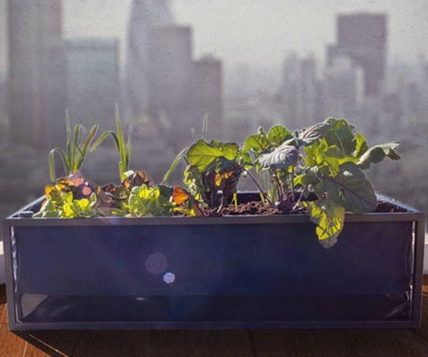 Umidity Sensor for Irrigation System