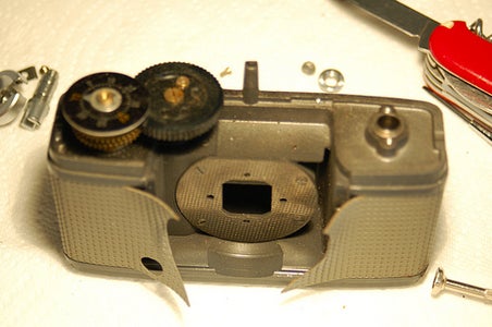 Final Removal of Guts