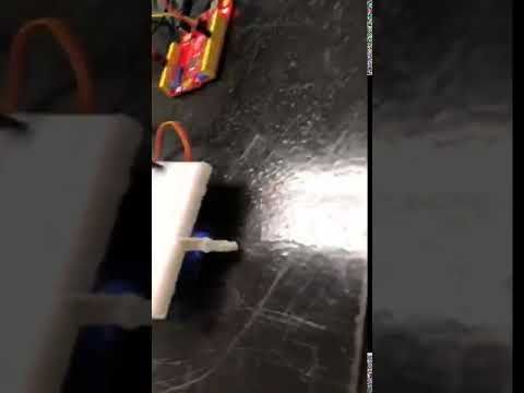 Dancing Spider