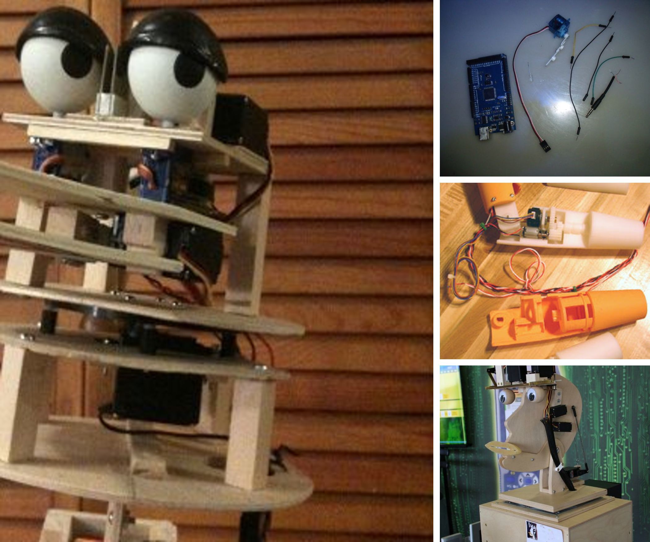 Animatronics and Robotics!