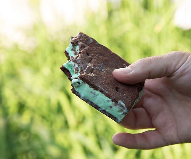 Gluten Free Ice Cream Sandwich