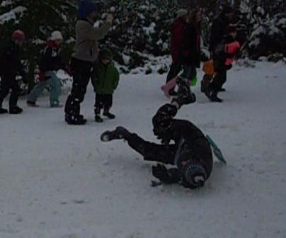 A Light Fast Sled From Stuff I Found at Home