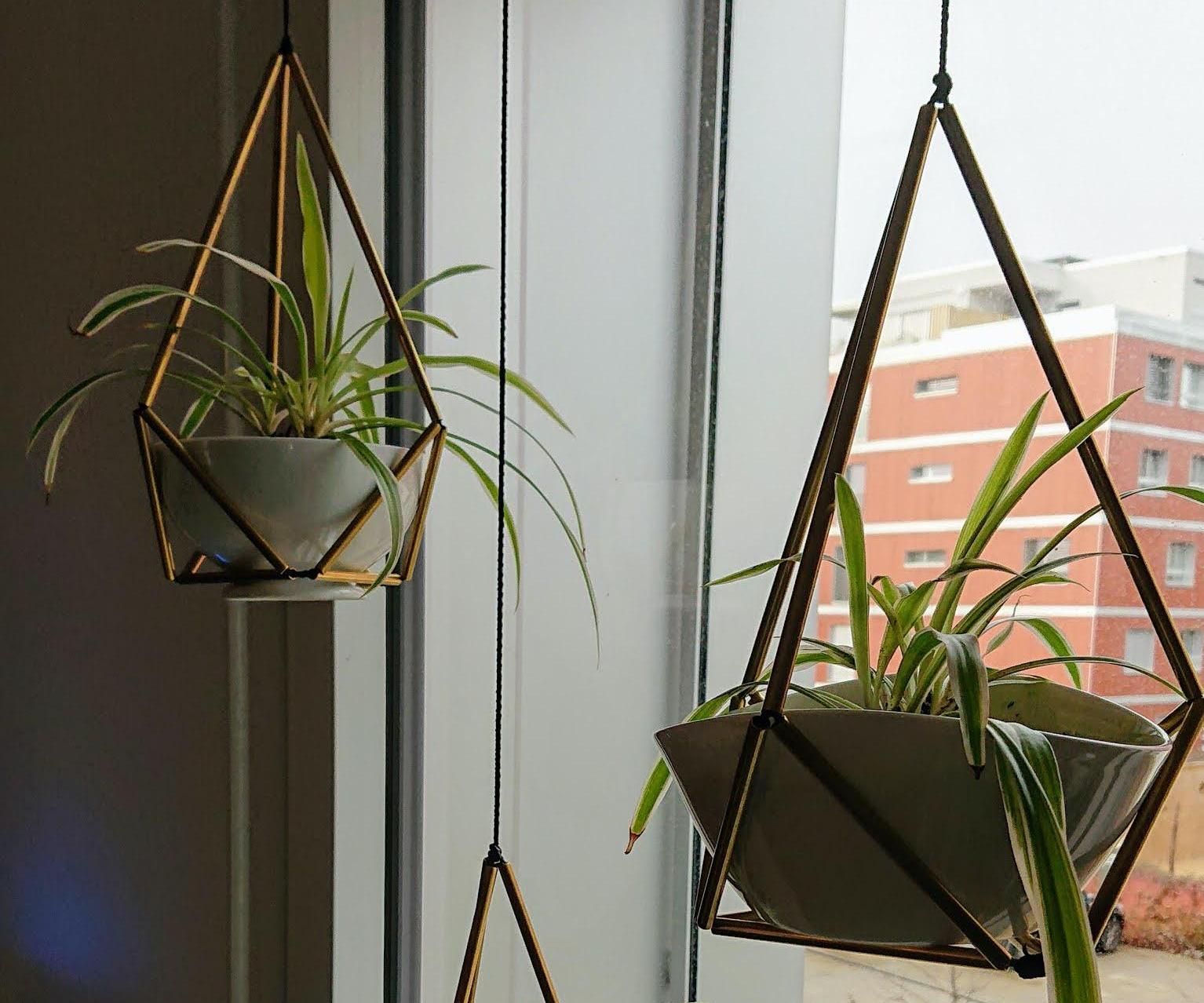 Geometric Plant Hanger