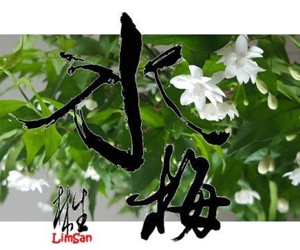 Home grown bonsai - Wrightia Religiosa Multi-layered Flower Cultivar