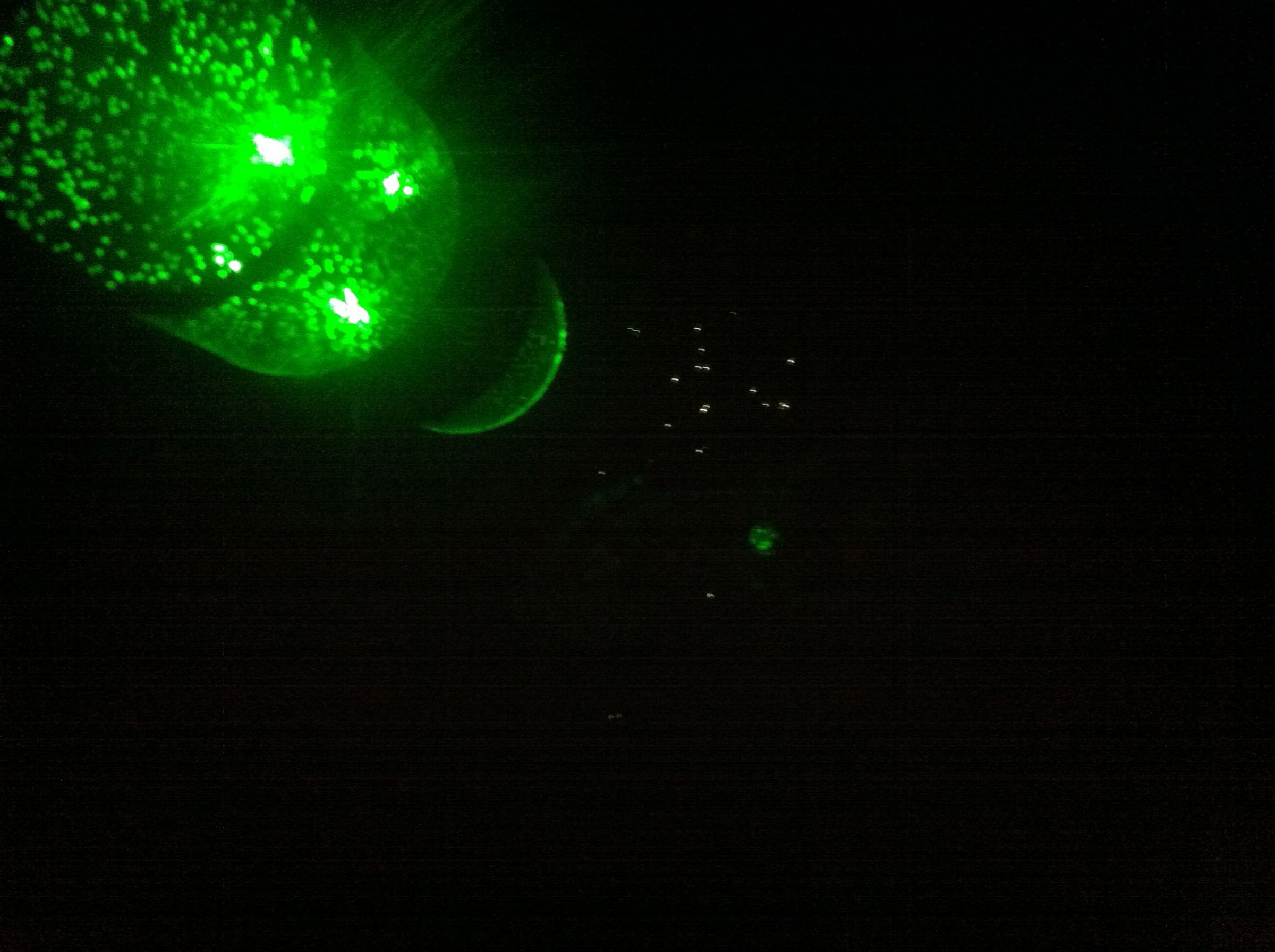 DIY SELF ACTIVATED PRIVATE UNIVERSE